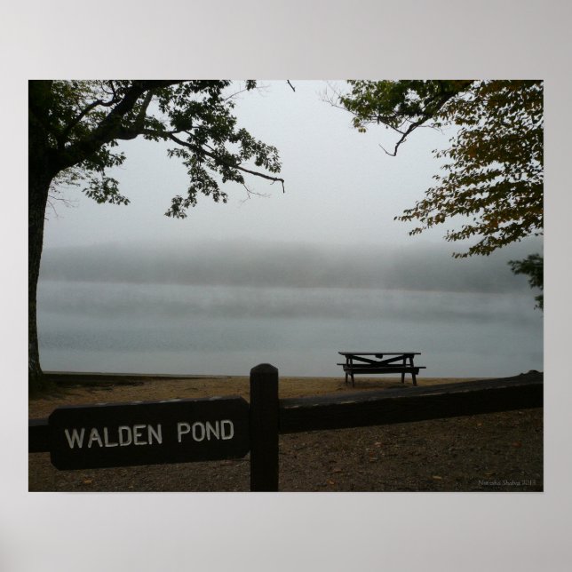 Walden Pond Poster - Contemplative Mist (Framsidan)