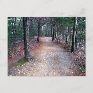 Walden Pond Trail-vykort Vykort