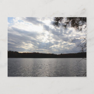 Walden Pond Vykort