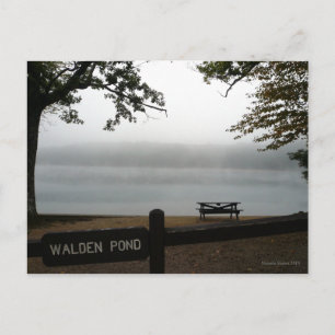 Walden Pond-vykort Vykort
