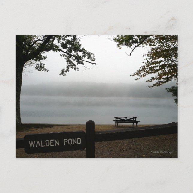 Walden Pond-vykort Vykort (Framsida)