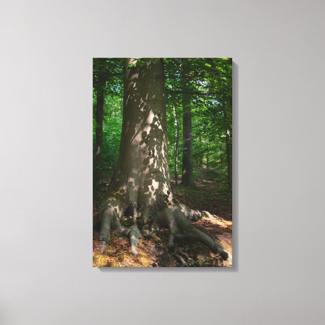 Waldimpression Canvastryck (Framsida)