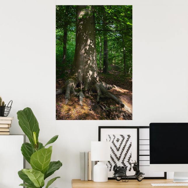 Waldimpression Poster (Hemmakontoret)