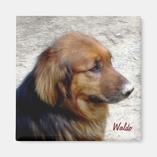 Waldo Magnet (Framsidan)