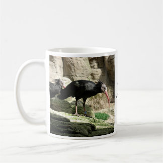 Waldrapp ibis svart befjädrad fågelmugg kaffemugg
