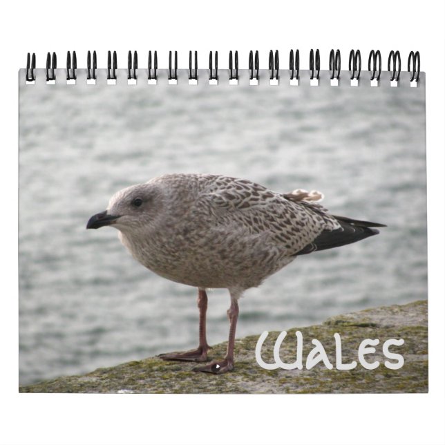 Wales 2022 Calendar Kalender (Omslag)