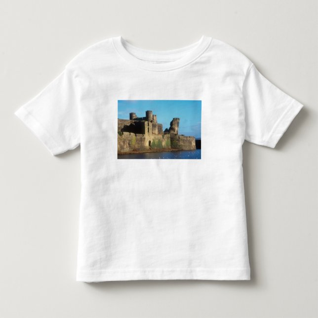 Wales - Caerphilly slott, med utsikt över Tee Shirt (Framsida)