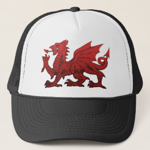 Wales drake truckerkeps