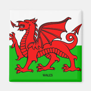 WALES FLAGGA / DRAKE MAGNET