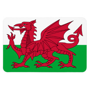 Wales Flagga Magnet