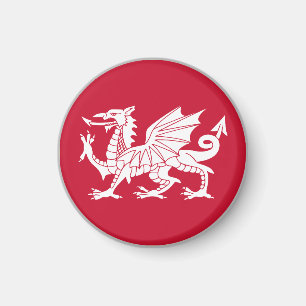 Wales flagga magnet