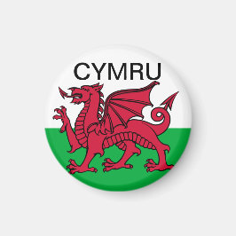 Wales Flagga Vm 2022 Red draon Cymru Magnet