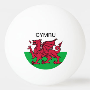 Wales Flagga Vm 2022 Red draon Cymru Pingisboll