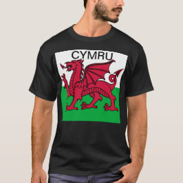 Wales Flagga Vm 2022 Red draon Cymru T Shirt
