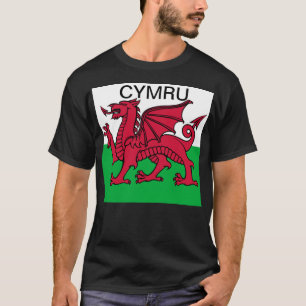 Wales Flagga Vm 2022 Red draon Cymru T Shirt