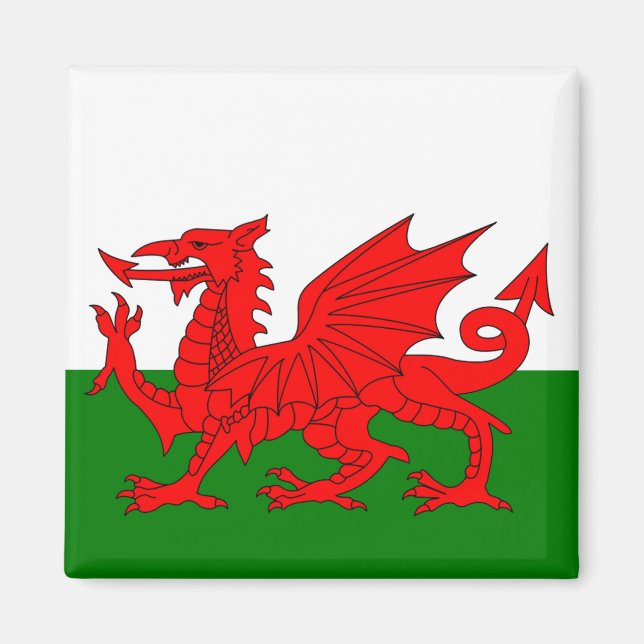 Wales flagga Welsh red draon Magnet (Framsidan)