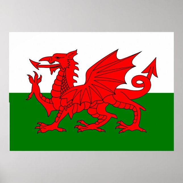 Wales flagga Welsh red draon Poster (Framsidan)