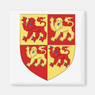Wales Jackar av Arm Magnet