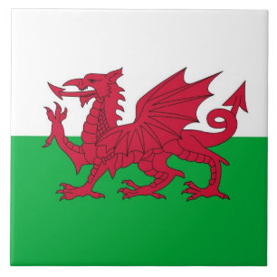 WALES KAKELPLATTA
