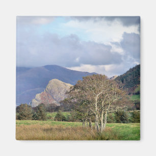 WALES MAGNET