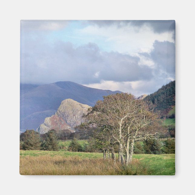 WALES MAGNET (Framsidan)