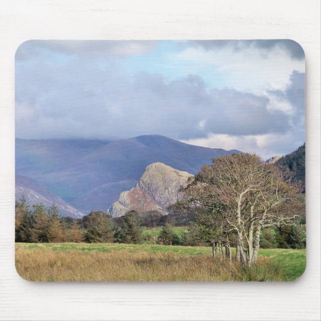WALES MUSMATTA (Framsidan)