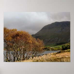 WALES POSTER
