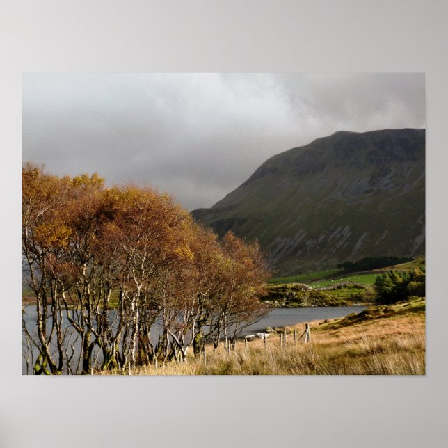 WALES POSTER (Framsidan)