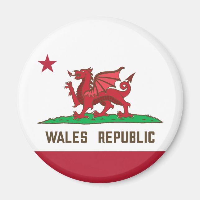 Wales Republic Dragon Flagga Welsh Pride Magnet (Framsidan)