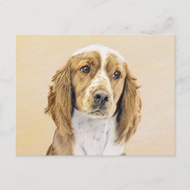 Wales Springer Spaniel-målning - Original hundkons Vykort (Framsida)