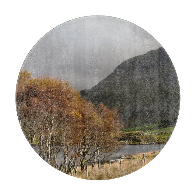 WALES SYNPUNKTER (Framsidan)