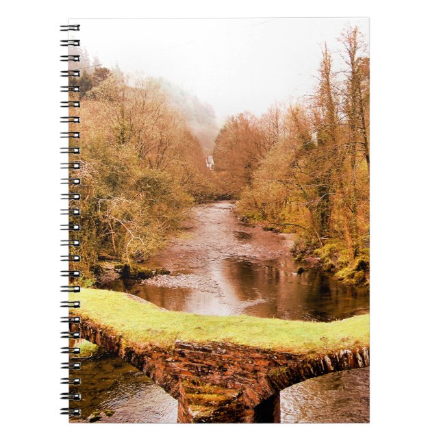 WALES SYNPUNKTER ANTECKNINGSBOK (Framsidan)