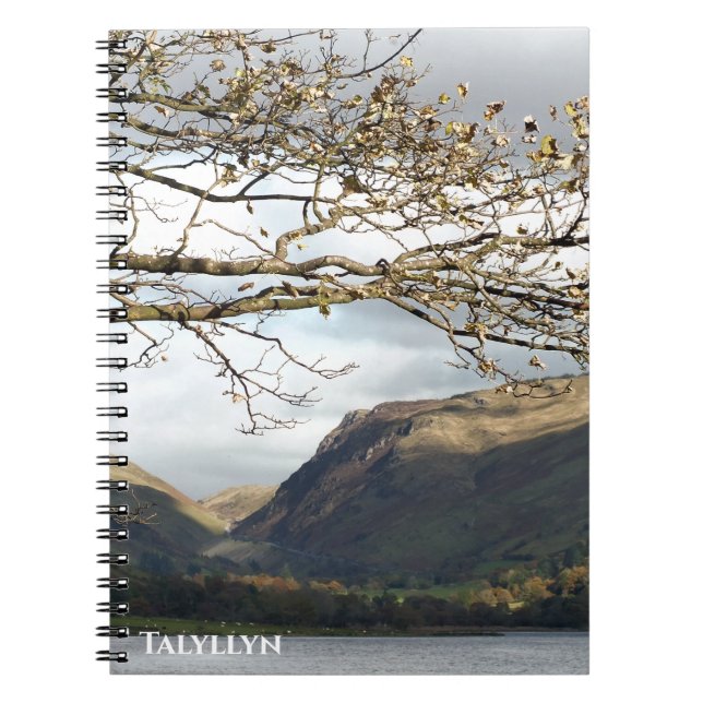 WALES SYNPUNKTER ANTECKNINGSBOK (Framsidan)