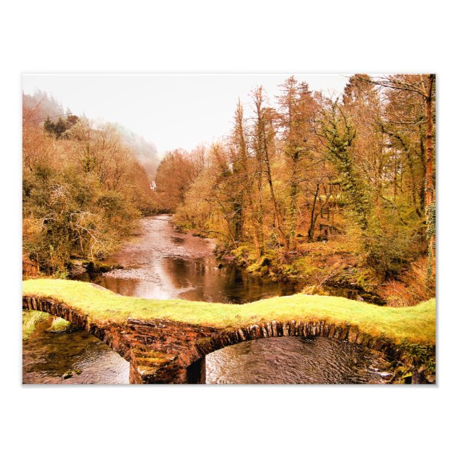 WALES SYNPUNKTER FOTOTRYCK (Framsidan)