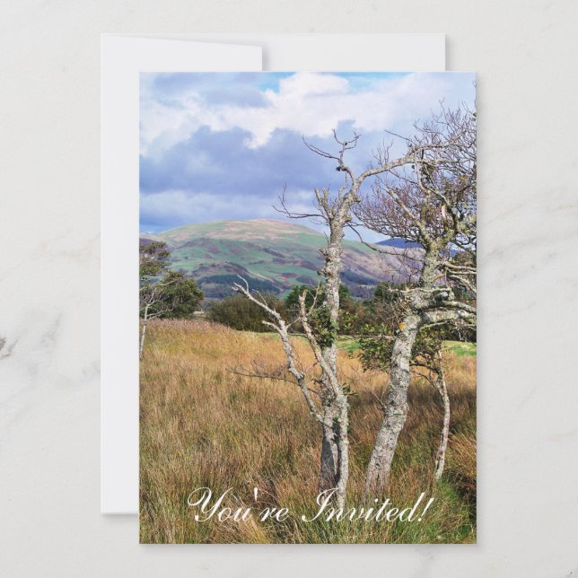 WALES SYNPUNKTER INBJUDNINGAR (Framsida)