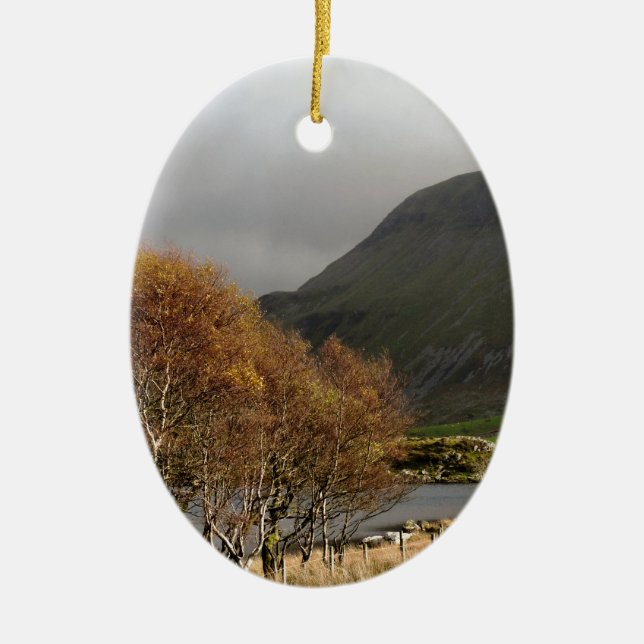 WALES SYNPUNKTER JULGRANSPRYDNAD KERAMIK (Framsidan)