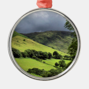 WALES SYNPUNKTER JULGRANSPRYDNAD METALL