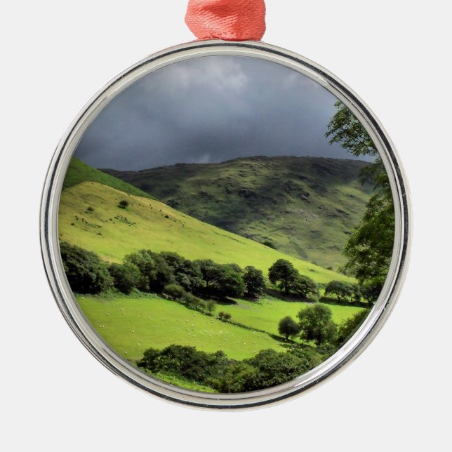 WALES SYNPUNKTER JULGRANSPRYDNAD METALL (Framsidan)