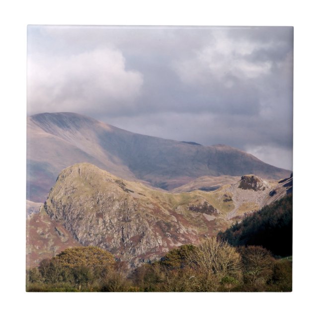 WALES SYNPUNKTER KAKELPLATTA (Framsidan)