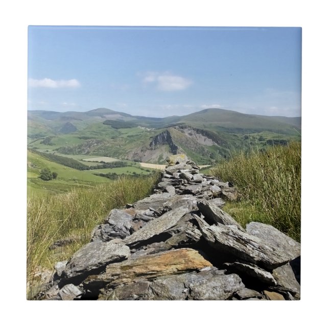 WALES SYNPUNKTER KAKELPLATTA (Framsidan)