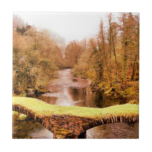 WALES SYNPUNKTER KAKELPLATTA (Framsidan)