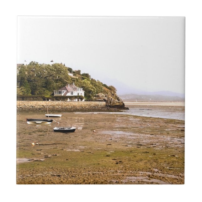 WALES SYNPUNKTER KAKELPLATTA (Framsidan)