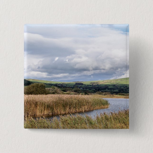 WALES SYNPUNKTER KNAPP (Framsida)