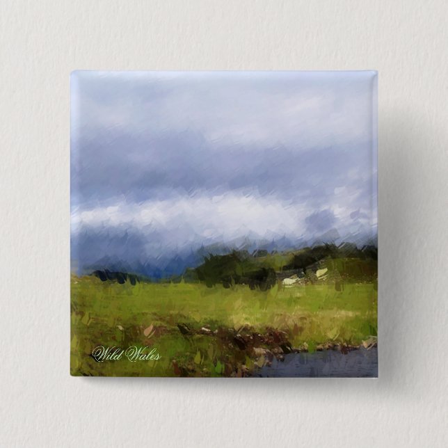 WALES SYNPUNKTER KNAPP (Framsida)