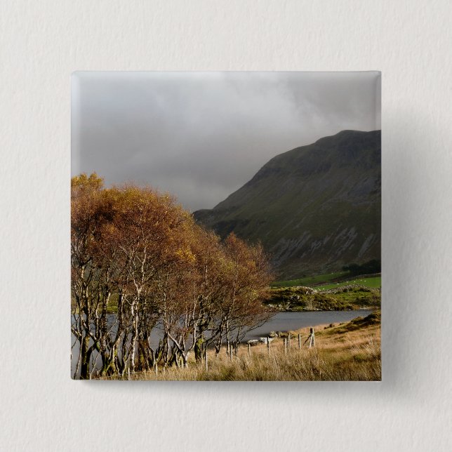 WALES SYNPUNKTER KNAPP (Framsida)