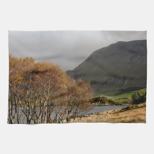 WALES SYNPUNKTER KÖKSHANDDUK (Horisontell)