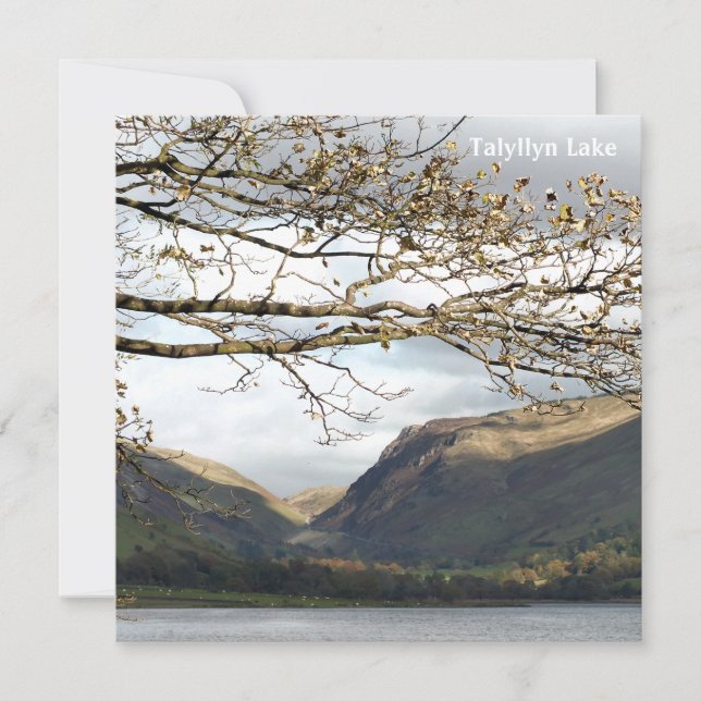 WALES SYNPUNKTER KORT (Framsida)