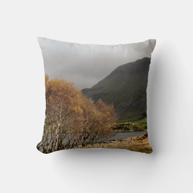 WALES SYNPUNKTER KUDDE (Framsida)