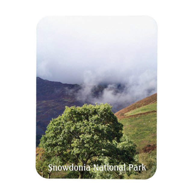 WALES SYNPUNKTER MAGNET (Vertikal)