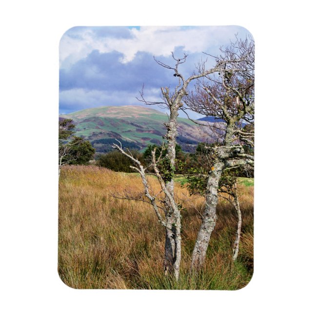 WALES SYNPUNKTER MAGNET (Vertikal)